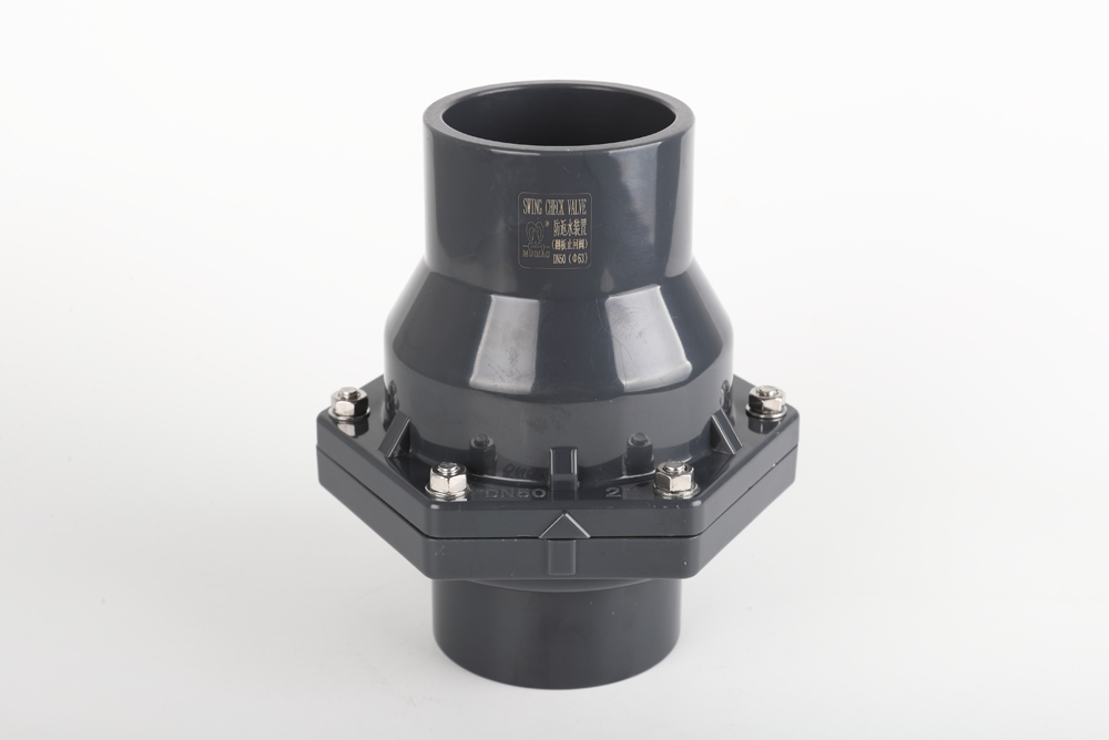 青龙翻板式止回阀