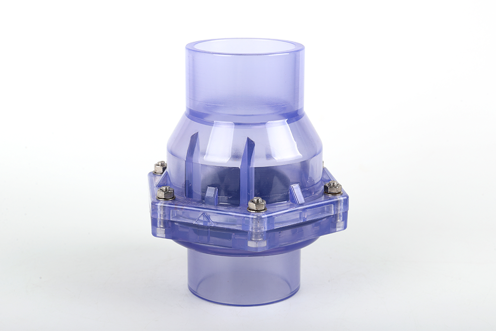 青龙透明翻板式止回阀